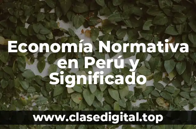 Economía Normativa en Perú y Significado