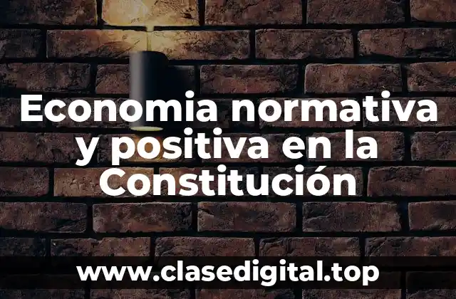 Economia normativa y positiva en la Constitución