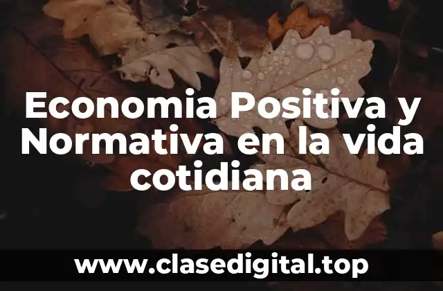 Economia Positiva y Normativa en la vida cotidiana