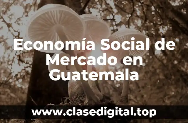Ejemplos de Economía Social de Mercado en Guatemala