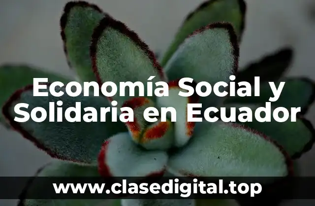 Economía Social y Solidaria en Ecuador