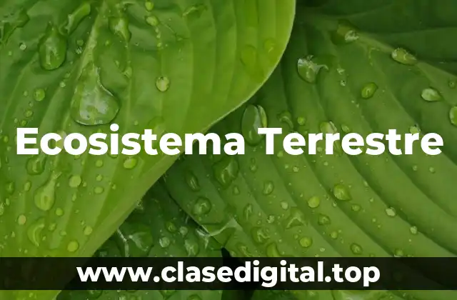 Ecosistema Terrestre