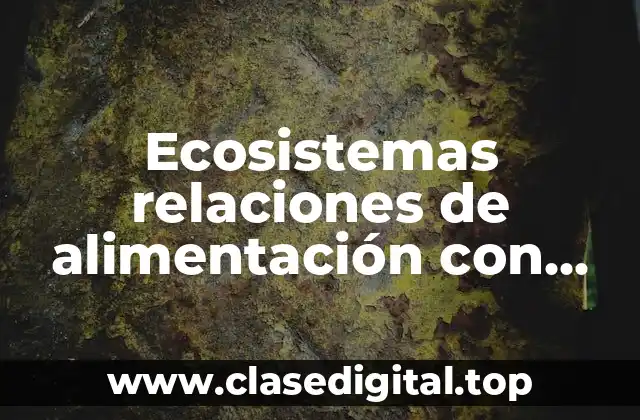 Ecosistemas relaciones de alimentación con hongos y bacterias