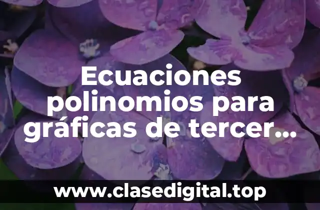 Ecuaciones polinomios para gráficas de tercer grado