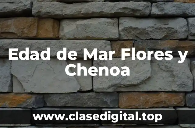 Edad de Mar Flores y Chenoa