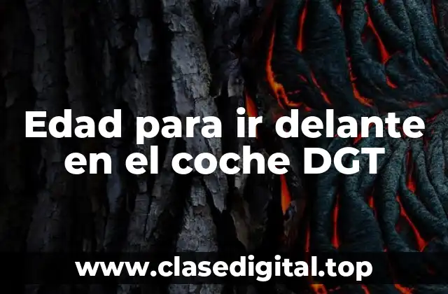 Edad para ir delante en el coche DGT