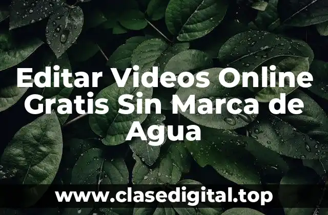 Editar Videos Online Gratis Sin Marca de Agua