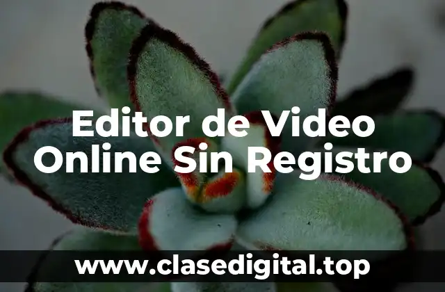 Editor de Video Online Sin Registro