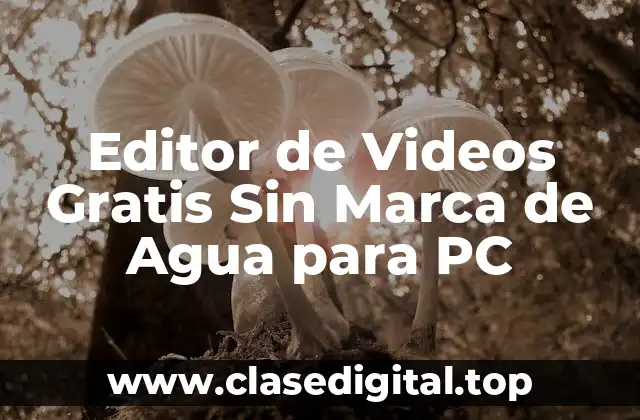 ¿Por qué Necesitas un Editor de Videos Sin Marca de Agua?