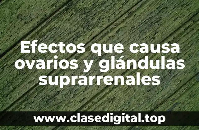 Efectos que causa ovarios y glándulas suprarrenales
