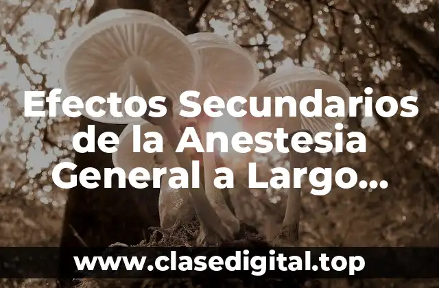 ¿Qué Es la Anestesia General y Cómo Funciona?