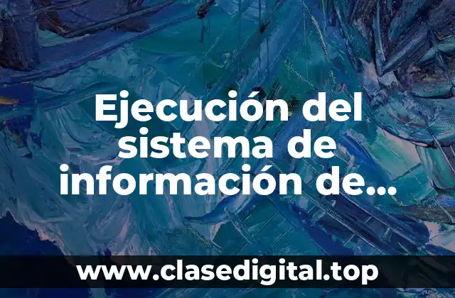 Ejemplos de ejecución del sistema de información de gestión
