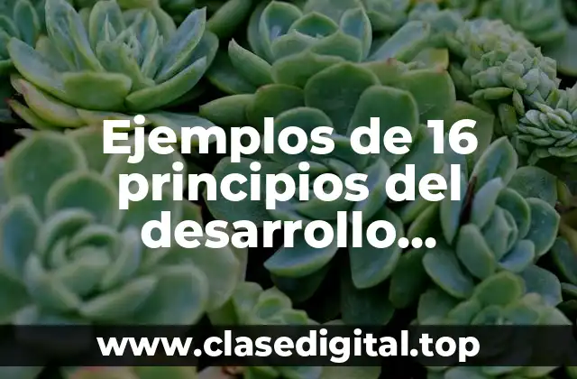 Ejemplos de 16 principios del desarrollo sustentable