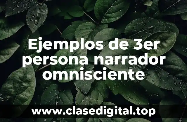 Ejemplos de 3er persona narrador omnisciente