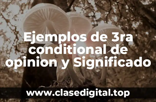Ejemplos de 3ra conditional de opinion y Significado