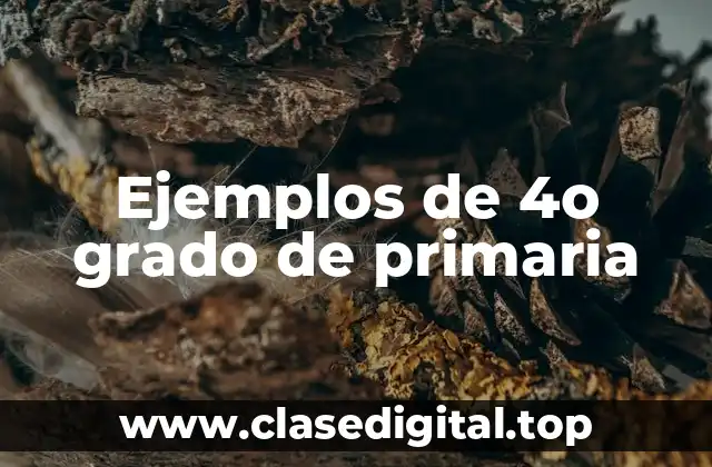 Ejemplos de 4o grado de primaria