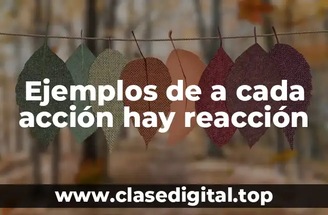 Ejemplos de a cada acción hay reacción