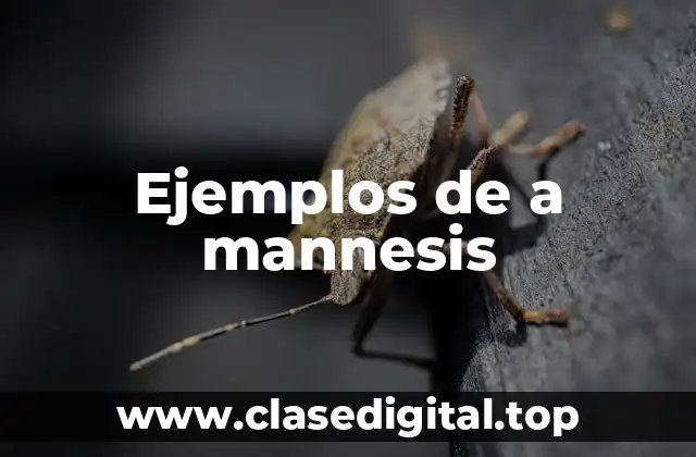 Ejemplos de a mannesis