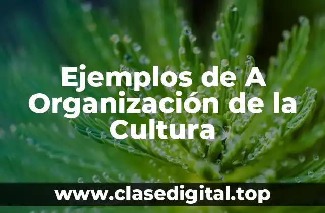 Ejemplos de A Organización de la Cultura
