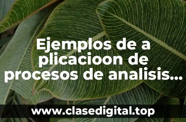 Ejemplos de a plicacioon de procesos de analisis y sintesis y Significado