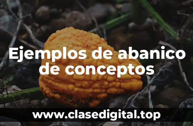 Ejemplos de abanico de conceptos