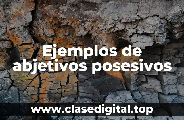 Ejemplos de abjetivos posesivos