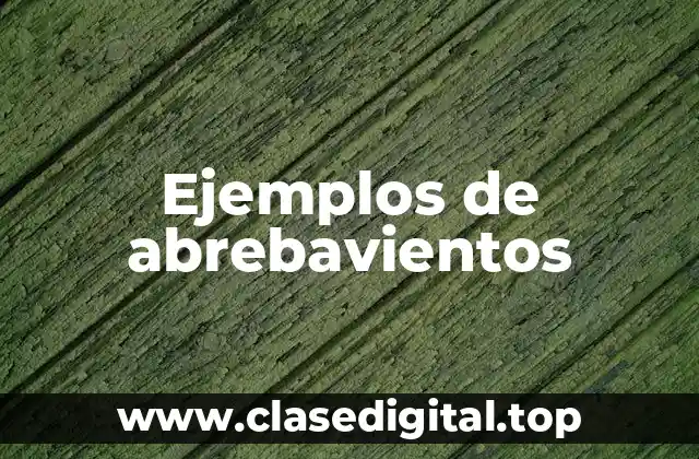 Ejemplos de abrebavientos