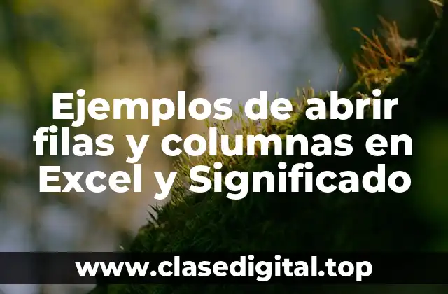 Ejemplos de abrir filas y columnas en Excel y Significado