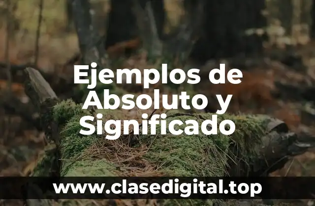 Ejemplos de Absoluto y Significado