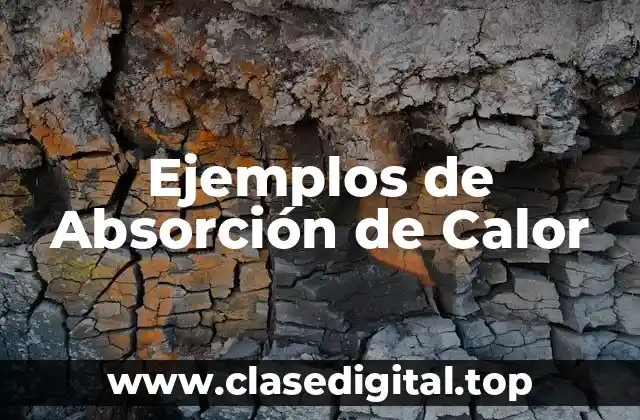 Ejemplos de Absorción de Calor