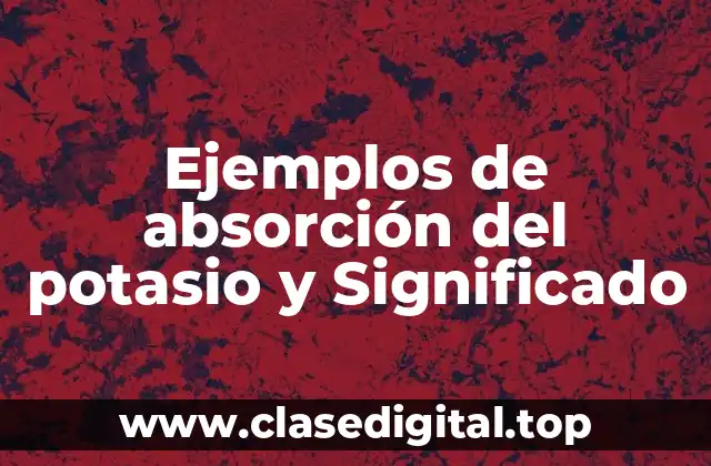 Ejemplos de absorción del potasio y Significado