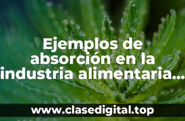 Ejemplos de absorción en la industria alimentaria y método