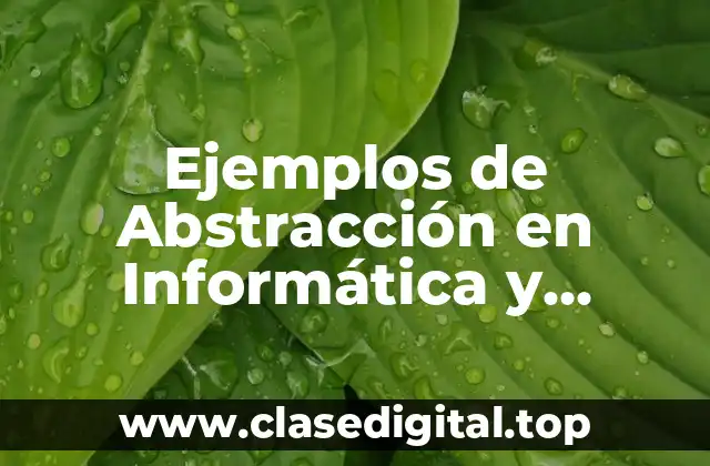 Ejemplos de Abstracción en Informática y Significado