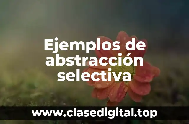Ejemplos de abstracción selectiva