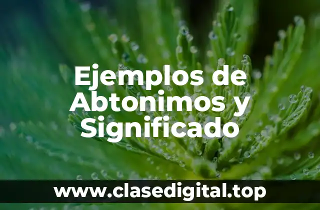 Ejemplos de Abtonimos y Significado