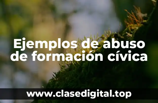 Ejemplos de abuso de formación cívica