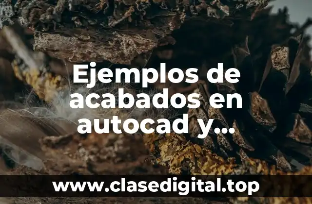 Ejemplos de acabados en autocad y Significado