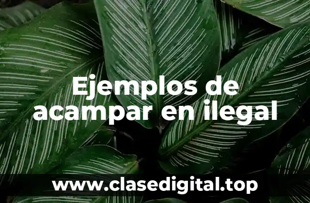 Ejemplos de acampar en ilegal