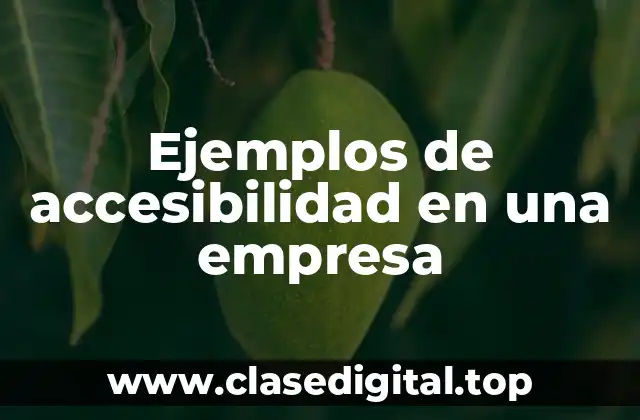 Ejemplos de accesibilidad en una empresa