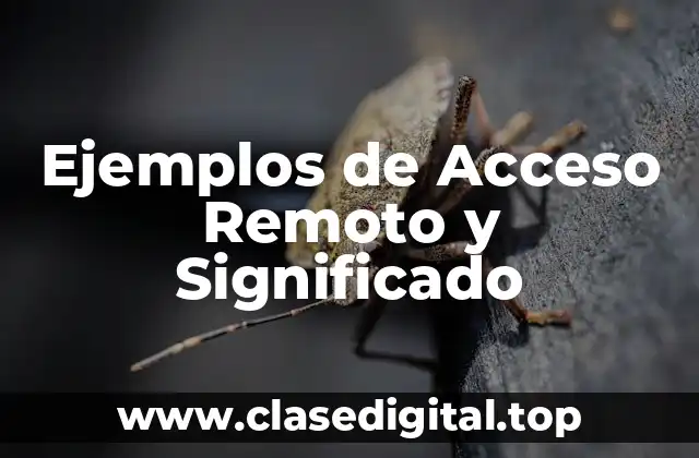 Ejemplos de Acceso Remoto y Significado