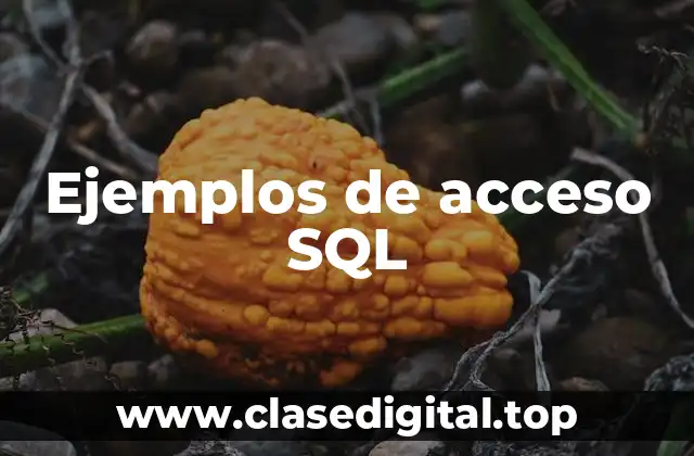 Ejemplos de acceso SQL