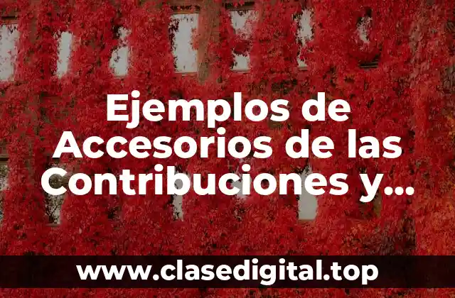 Ejemplos de Accesorios de las Contribuciones y Significado