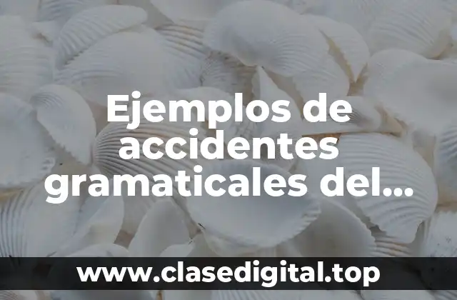 Ejemplos de accidentes gramaticales del adjetivo