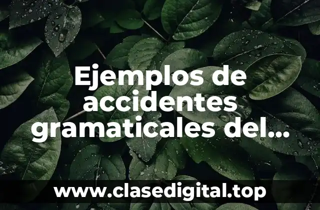 Ejemplos de accidentes gramaticales del sustantivo