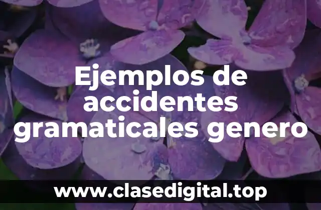 Ejemplos de accidentes gramaticales genero