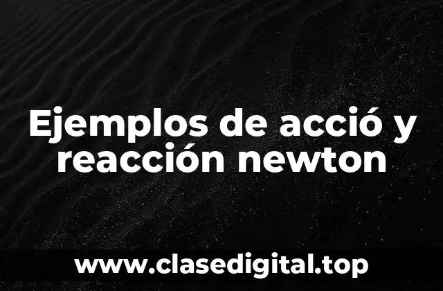 Ejemplos de acció y reacción newton