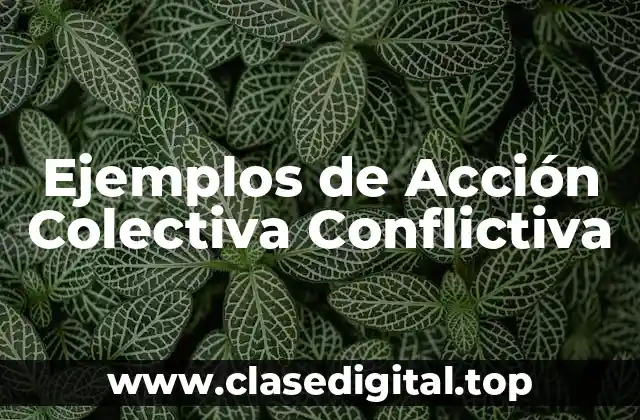Ejemplos de Acción Colectiva Conflictiva