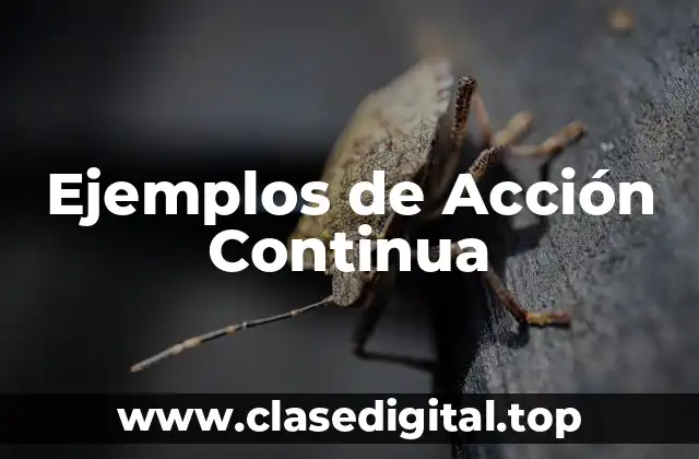 Ejemplos de Acción Continua