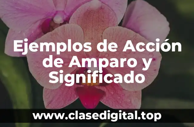 Ejemplos de Acción de Amparo