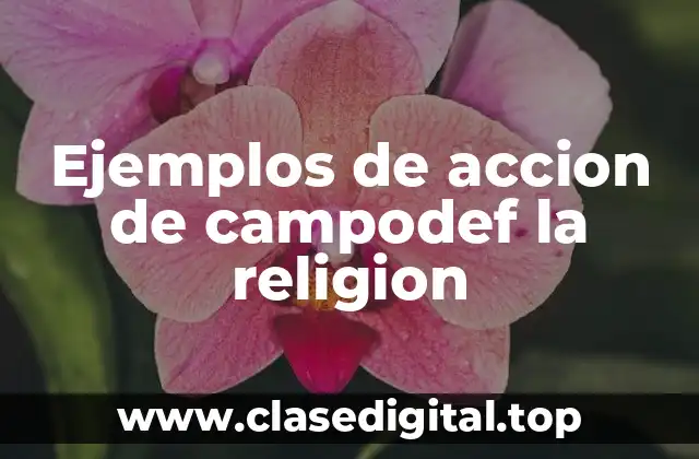 Ejemplos de accion de campodef la religion